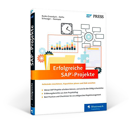 Cover 'Erfolgreiche SAP-Projekte'